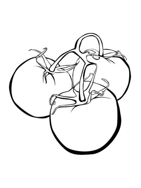 Контур овощей для вырезания