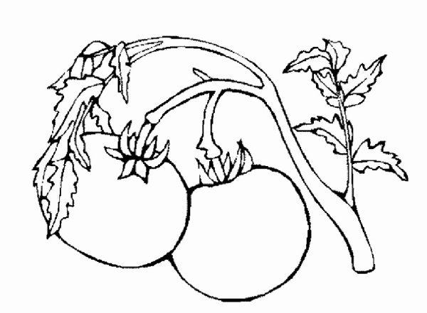 Веселый помидор раскраска