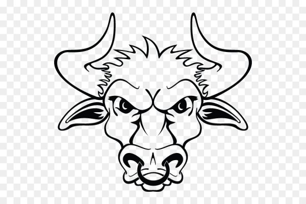 Бык раскраска