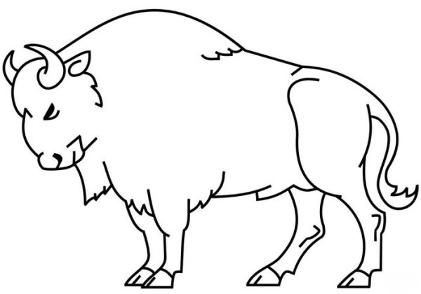 Контурный бык