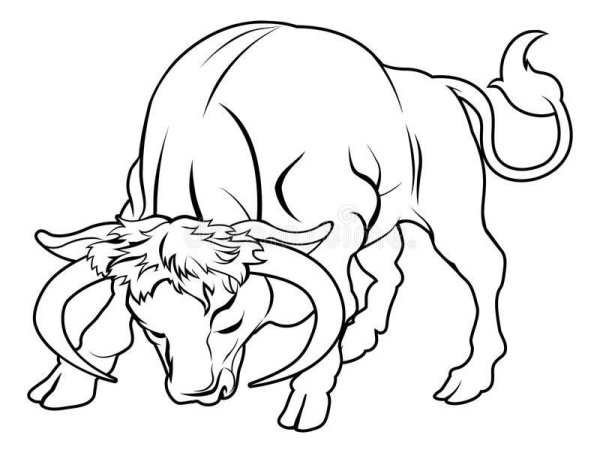 Бык очертание