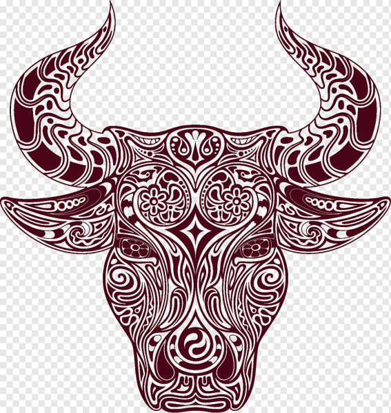 Трафарет быка для выжигания