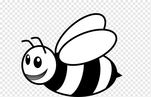 Шмель раскраска для детей