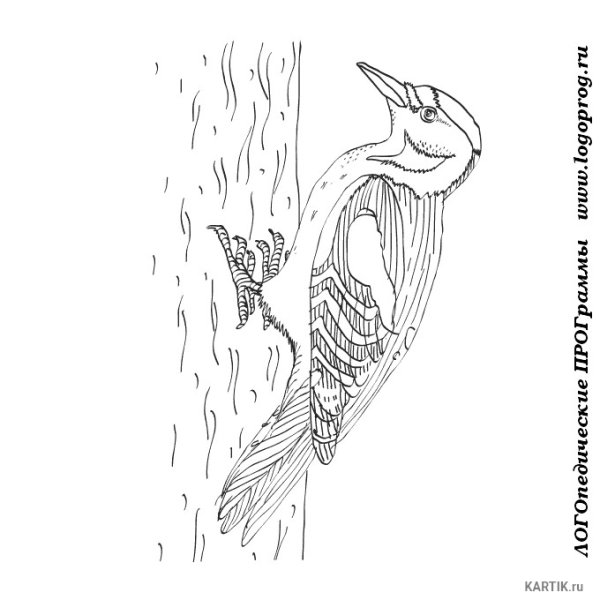 Трафареты птиц для рисования