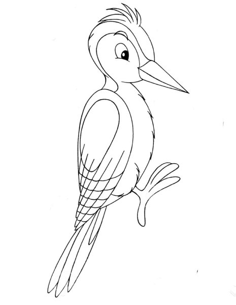 Пришвин Лесной доктор иллюстрации