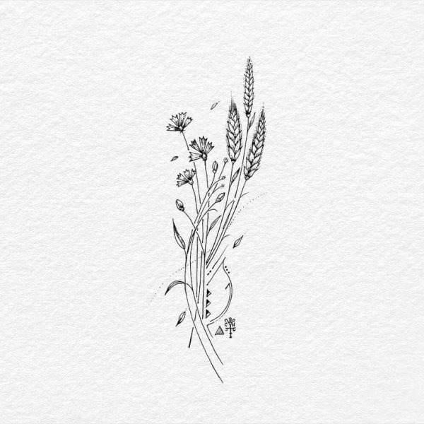 Тату растения эскизы