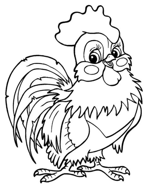 Петух контур