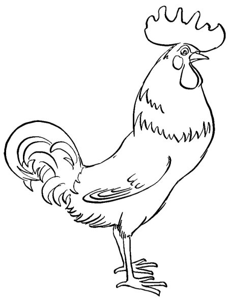 Петушок. Раскраска