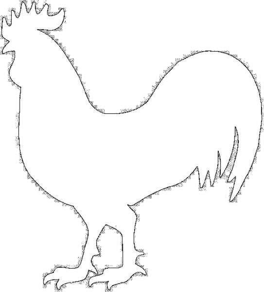 Петух раскраска для детей