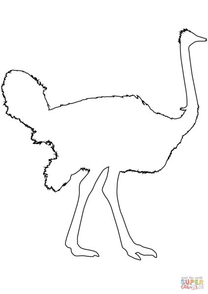 Рисование страуса