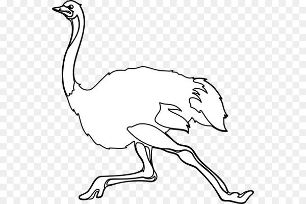 Африканский страус с детьми раскраска