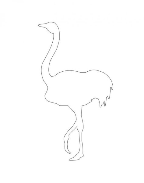 Страус раскраска
