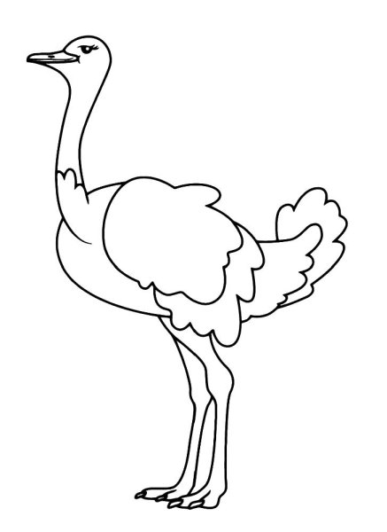 Силуэт страус эму