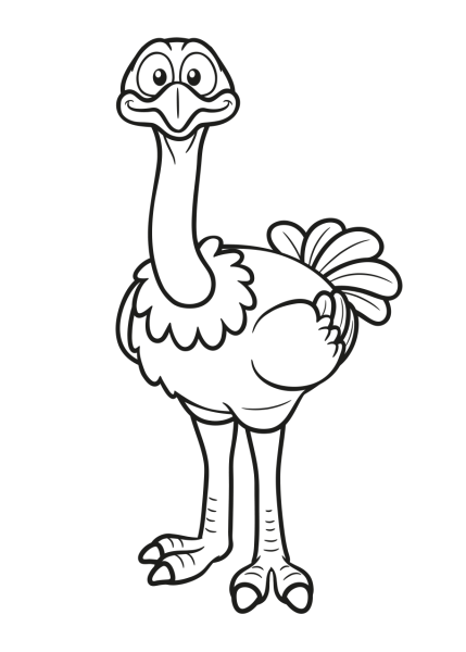 Страус раскраска для детей