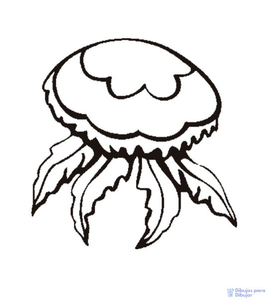 Контур медузы для детей