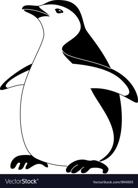 Пингвин черно белый