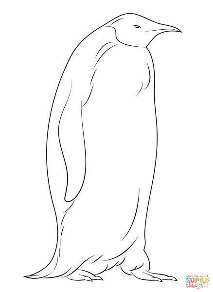 Пингвин раскраска для детей