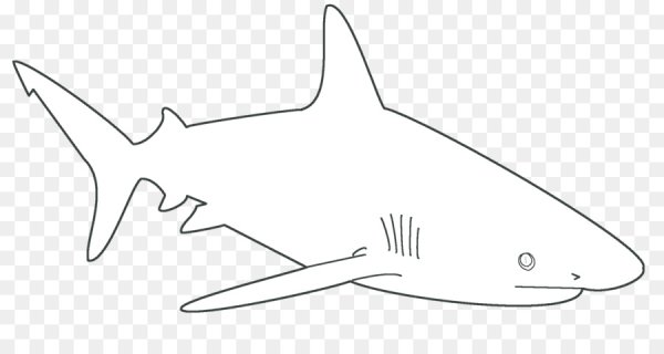 Трафарет акулы