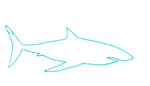 Трафарет акулы