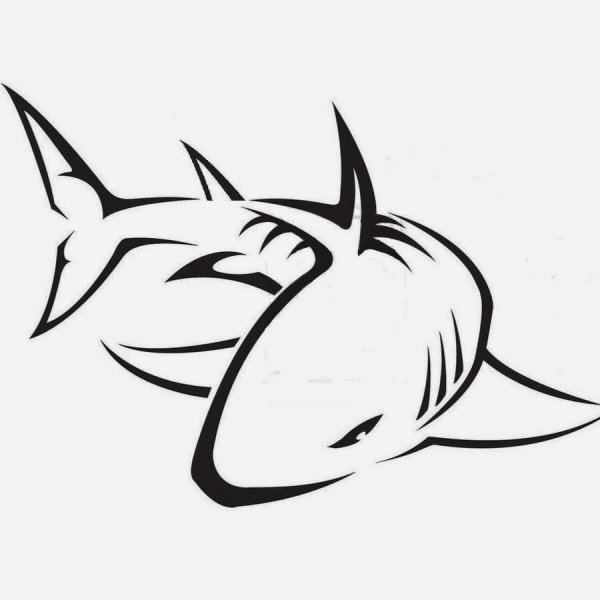 Акула набросок