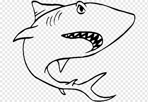 Контур акулы для детей