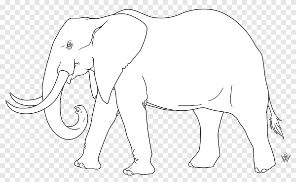 Трафарет слона для рисования