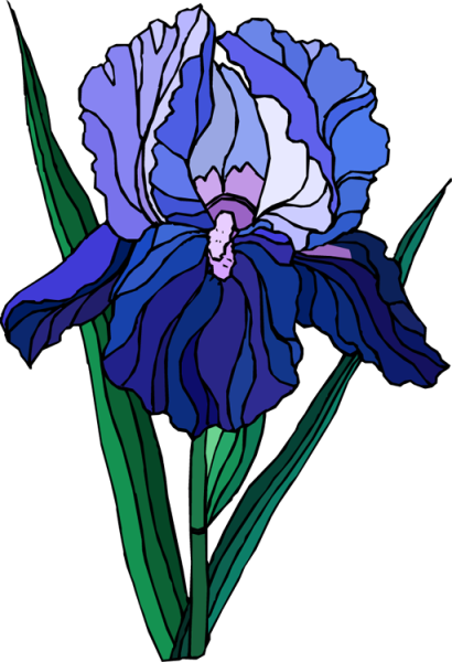 Орхидея раскраска