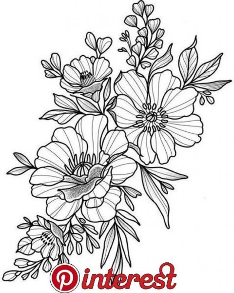 Эскиз крупного цветка