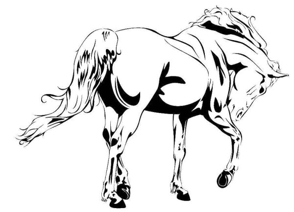 Лошадь контур