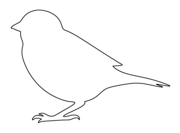 Птица контур