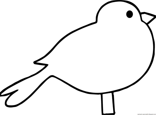 Птичка раскраска