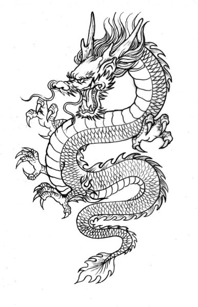 Сюаньлун дракон