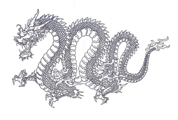 Дракон китайский ПГН