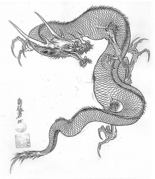 Контурный дракон