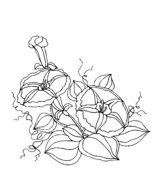 Контурное рисование