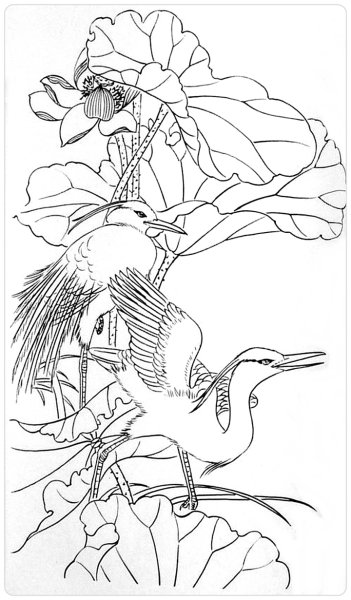 Эскизы для батика птицы