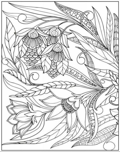 Раскраска антистресс гранат