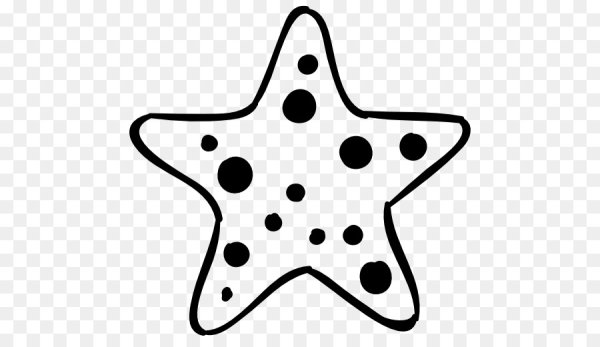 Морская звезда карандашом