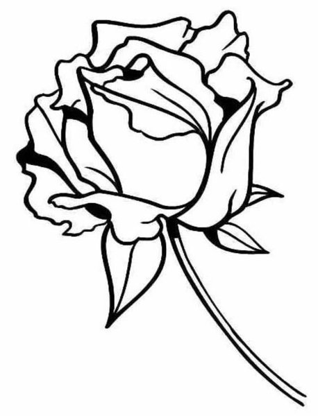 Роза черный контур
