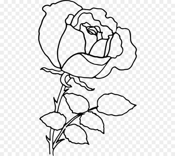 Роза контур