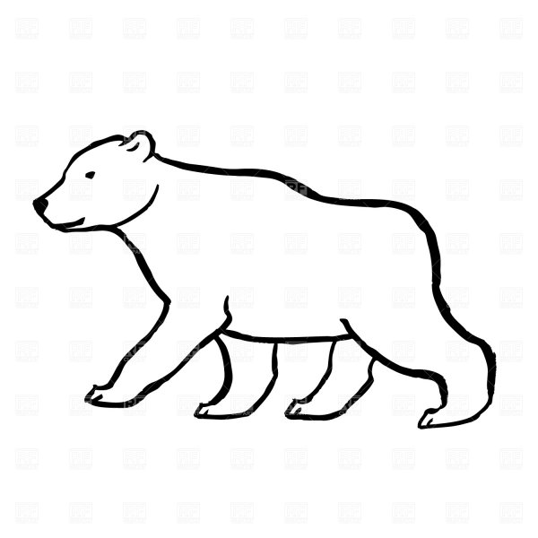 Белый медведь карандашом