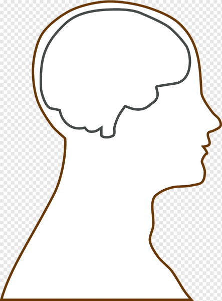 Очертание головы человека