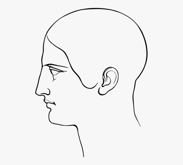 Лицо человека в профиль