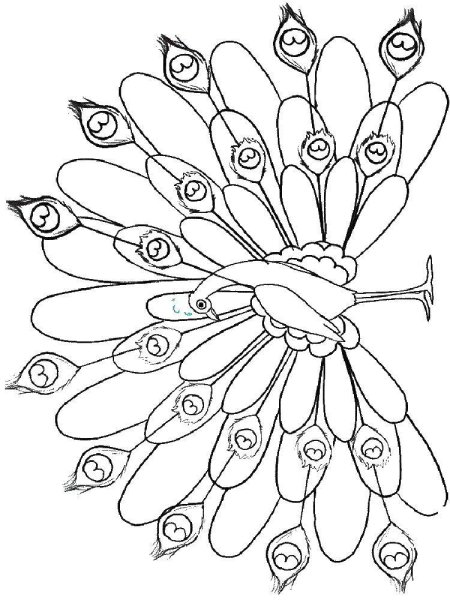 Жар птица раскраска