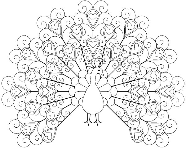 Жар птица раскраска