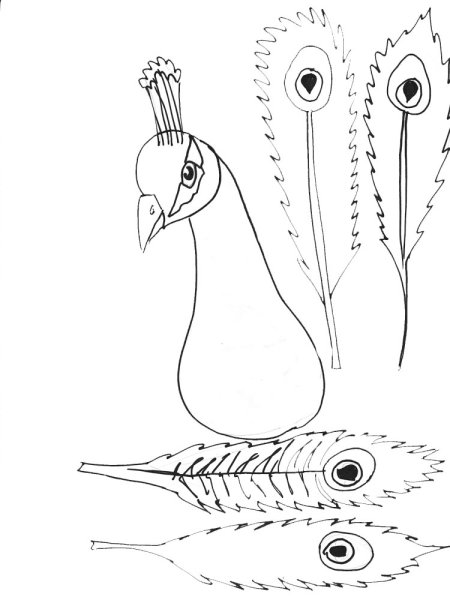 Хвост павлина рисунок