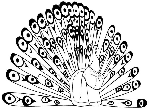 Павлин. Раскраска