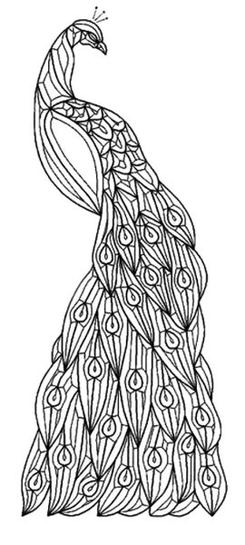 Жар птица точечная роспись трафарет
