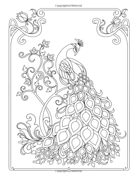 Раскраски птицы Павлин