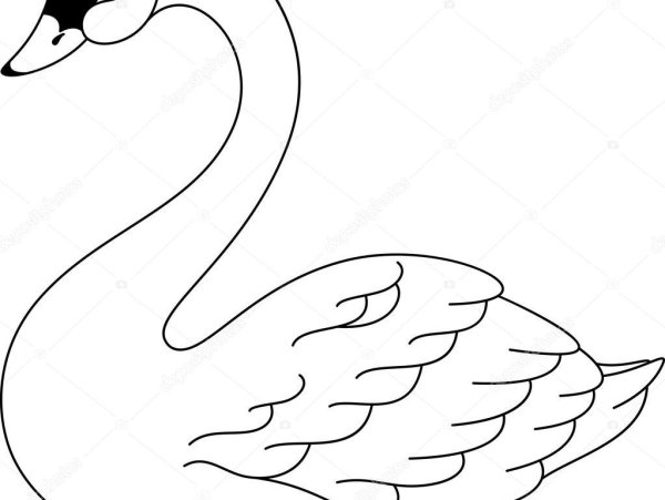 Лебедь раскраска для детей